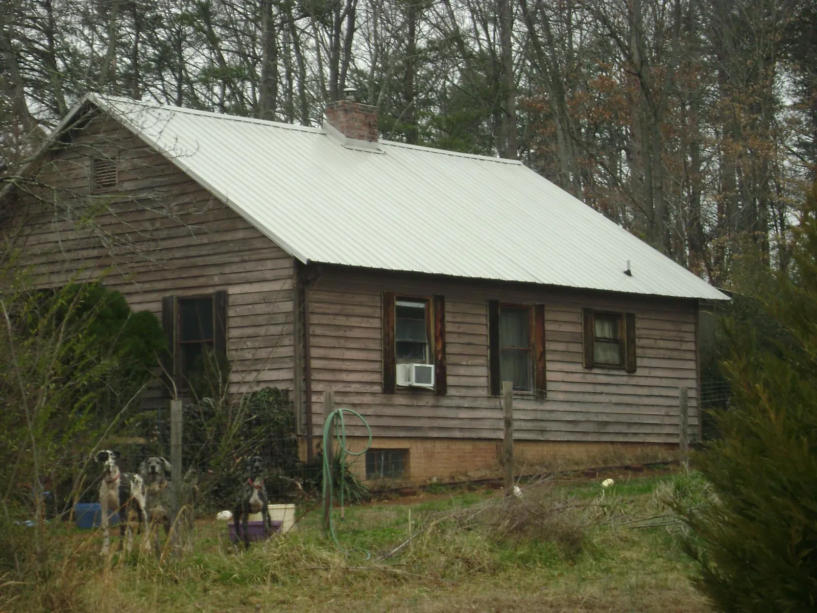 White metal roof on an old wood sided farmhouse, from a Asphalt Shingle Roof Repair job in Spring Gap